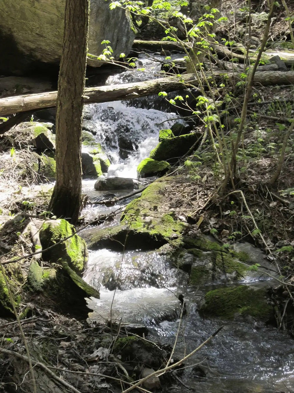 La splendeur des lieux au fil des saisons · Photographie 15