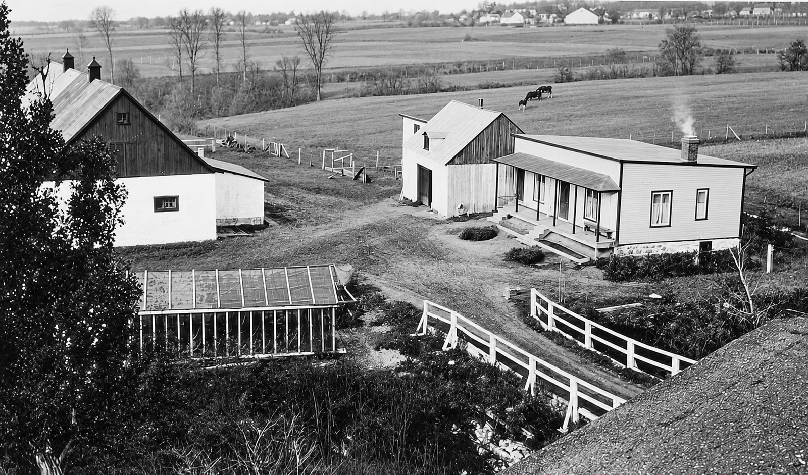 La ferme